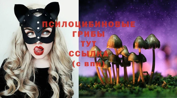 герыч Алзамай